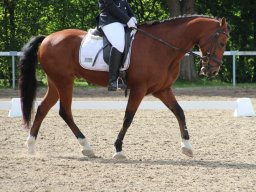 IMG_0966_web